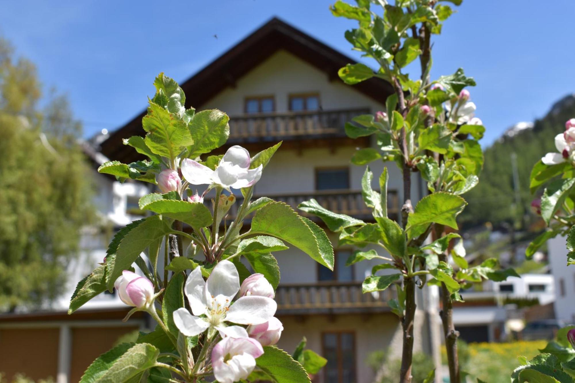 Hirschstube Nauders Bed and Breakfast Εξωτερικό φωτογραφία